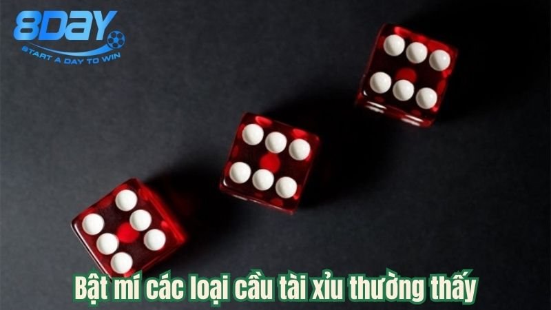 cac-loai-cau-tai-xiu-2