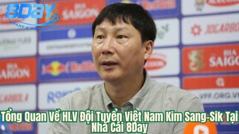 hlv-doi-tuyen-viet-nam