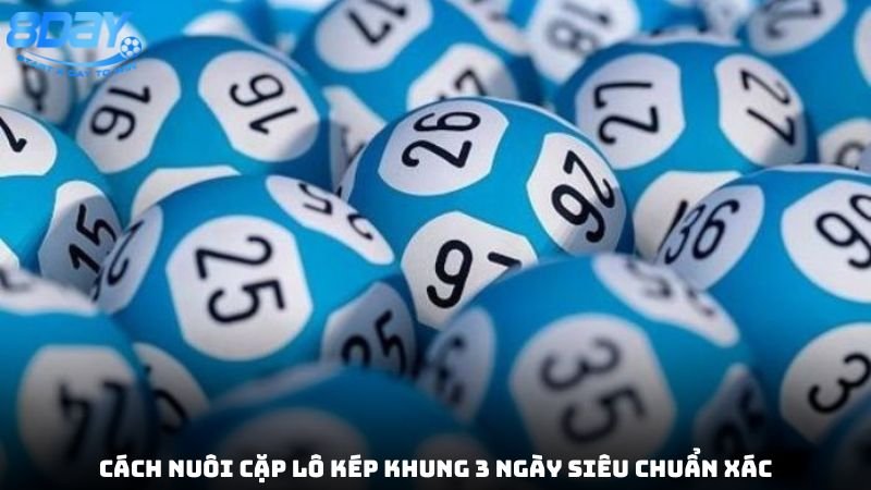 nuoi-cap-lo-kep-khung-3-ngay-sieu-chuan-3